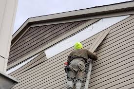 Best Fascia and Soffit Installation  in Gooding, ID